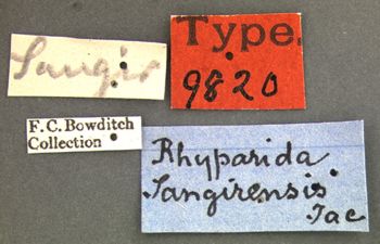 Media type: image; Entomology 9820   Aspect: labels
